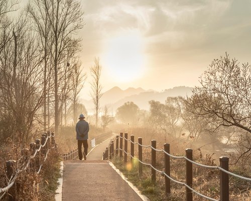 man walking in a park during autumn